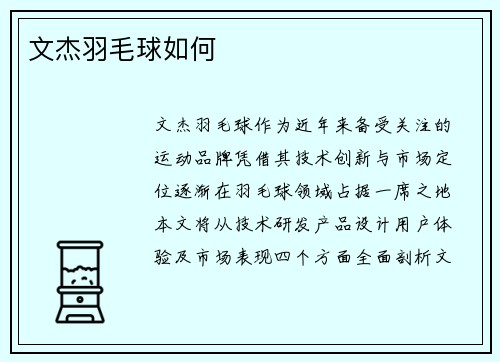文杰羽毛球如何
